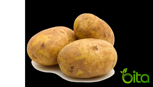 أسهل و أْئمن طرق للتصدير کمیات کبیرة من أنواع البطاطا