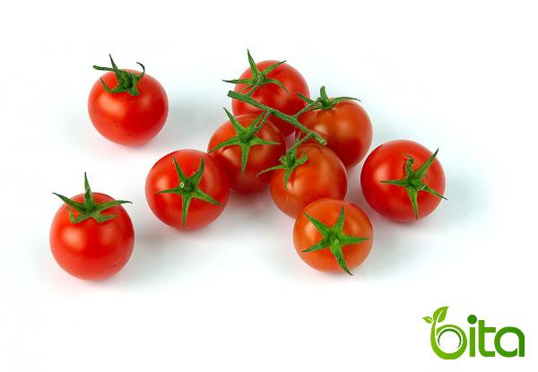 بيع طماطم عضوی بأسعارمعقولة للزبون