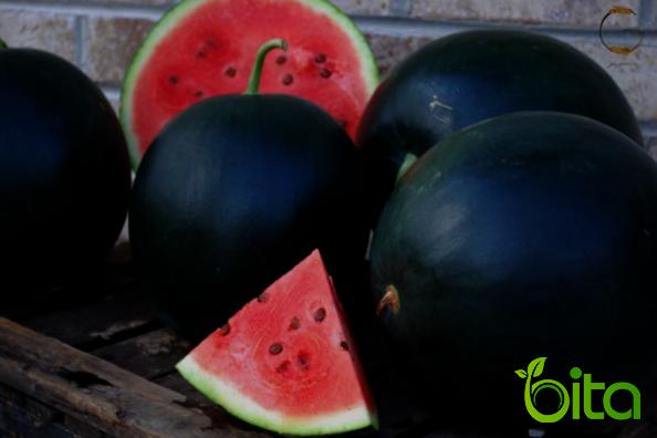 سعر البطيخ الأسود بالجملة في سوق إمارات