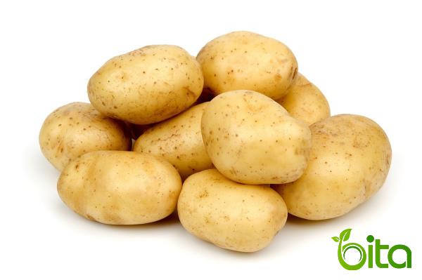 أسعار أنواع البطاطس اليوم في ايران